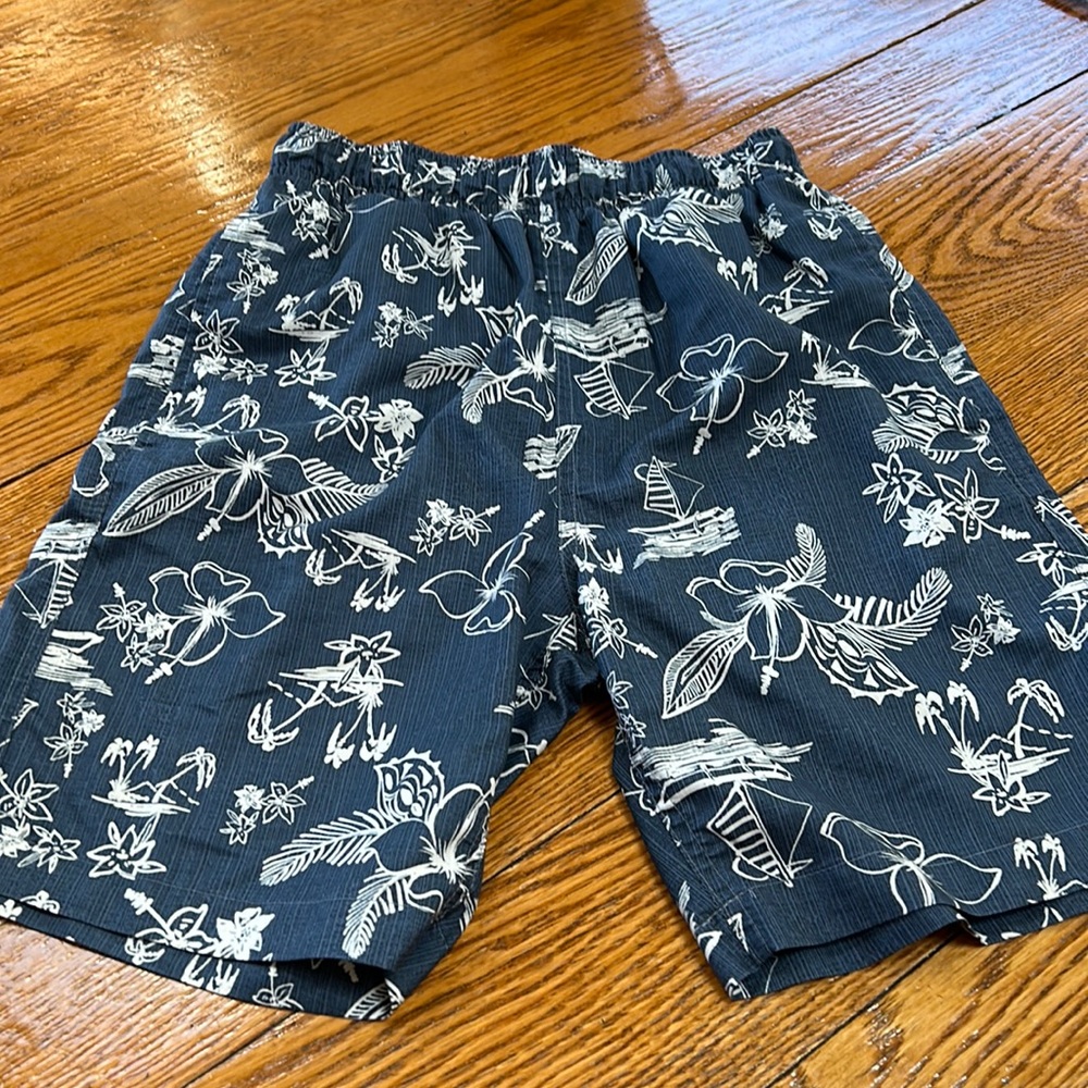 Laguna Originals brand blue men’s swim board shorts.  Size Small.